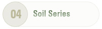 Soil Series