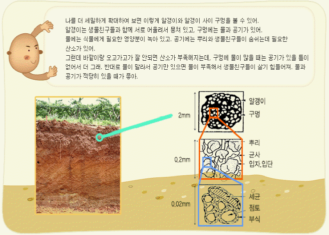 흙이야기_6